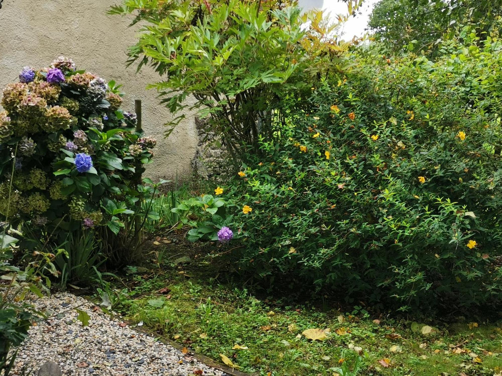 Vila Les Brassins Du Dillon Moyon Exteriér fotografie